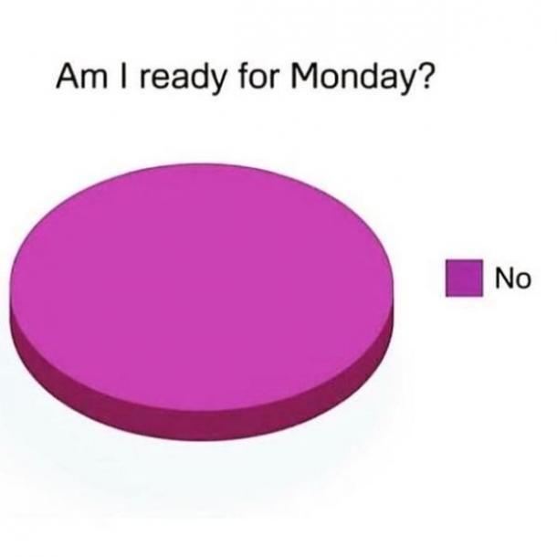 a pie chart with the words am i ready for monday? and no one else