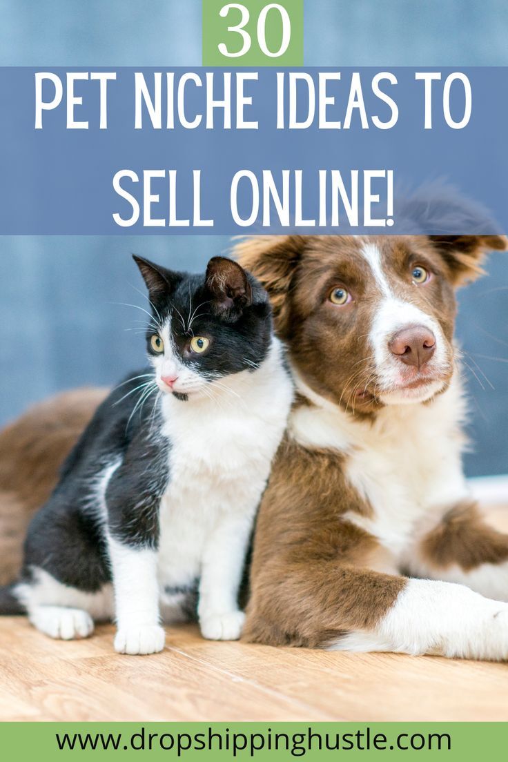 a dog and cat sitting on the floor with text overlay that reads 30 pet niche ideas to sell online