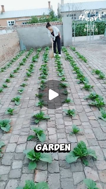 a man standing in the middle of a garden with lots of green plants growing on it