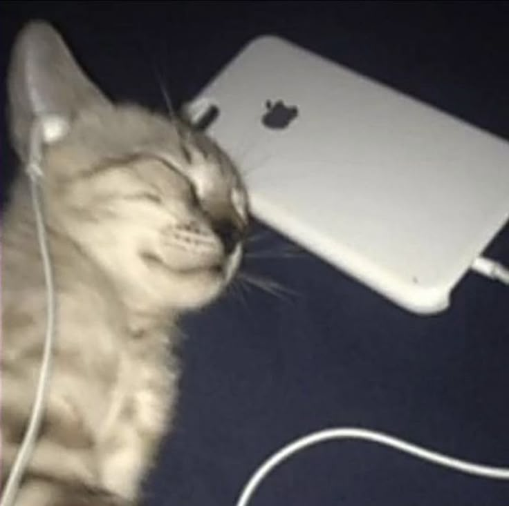 a cat that is laying down next to an ipod