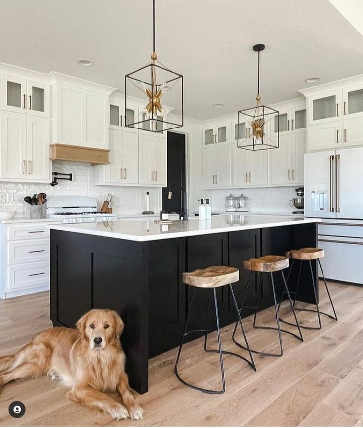 a dog laying on the floor in a kitchen