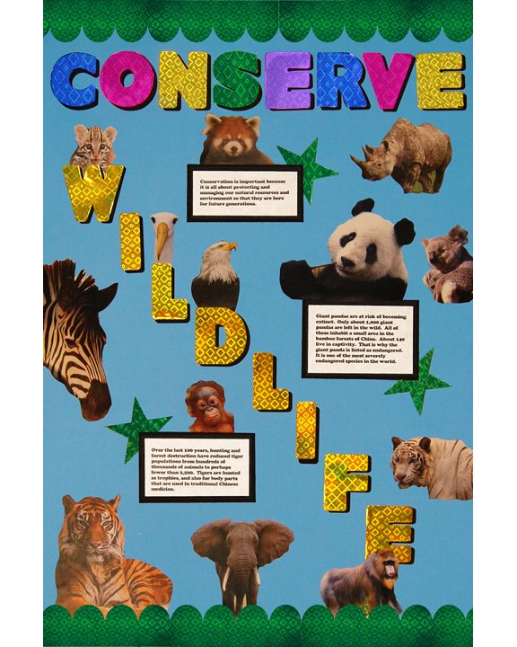 a bulletin board with animals and words on it that say conservation wildlife life, including zebras, lions, giraffes, rhinoceros