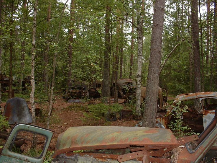 an old rusted out car in the middle of a forest filled with lots of trees