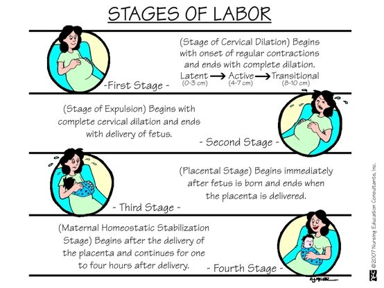 the stages of labor in an infant's stomach and how they are used to help them