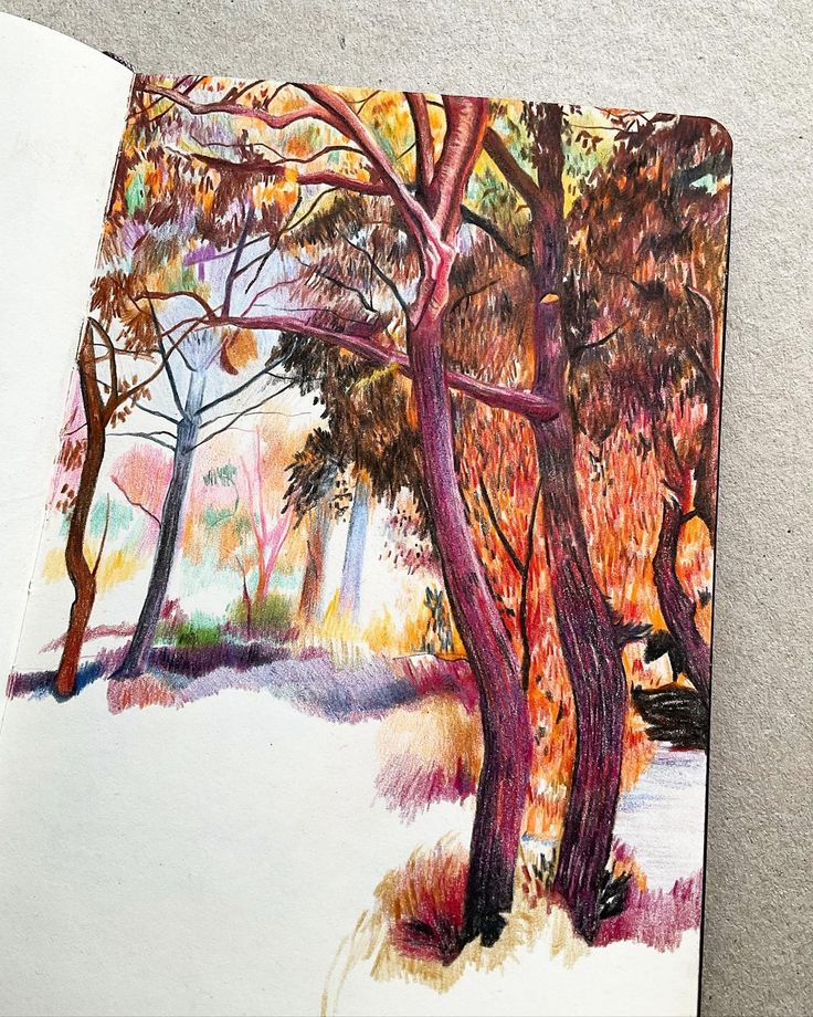 an open notebook with colored pencils and watercolor paints on the pages showing trees