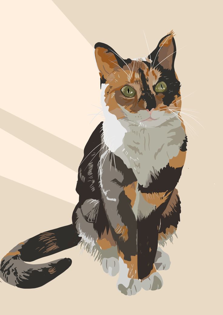 a calico cat sitting on the floor looking up at something in the air with its eyes open