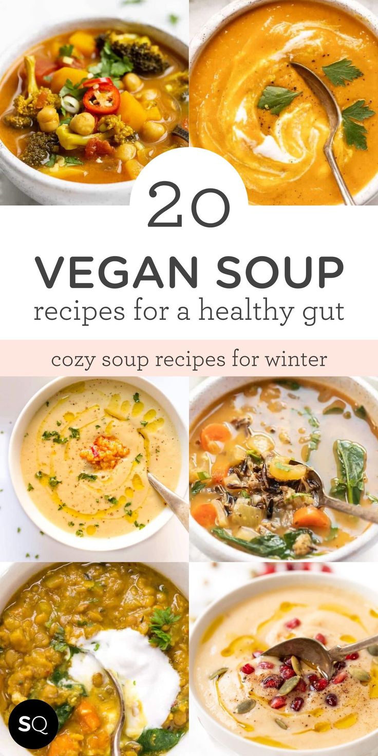 the top 20 vegan soup recipes for a healthy gutt - friendly winter meal