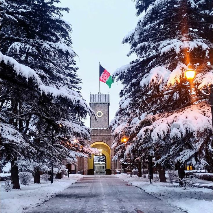 a clock tower in the middle of a snowy area with trees and lights on either side