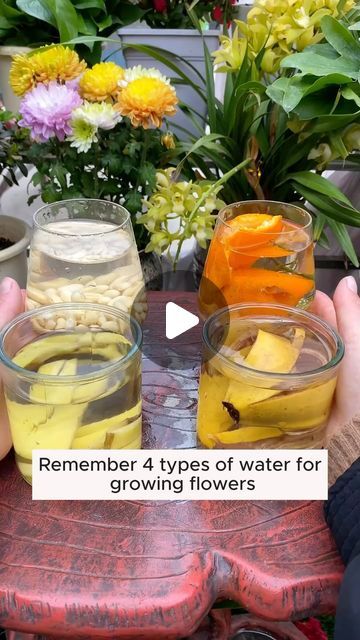 two people holding glasses filled with water and fruit in front of some flowers on a table