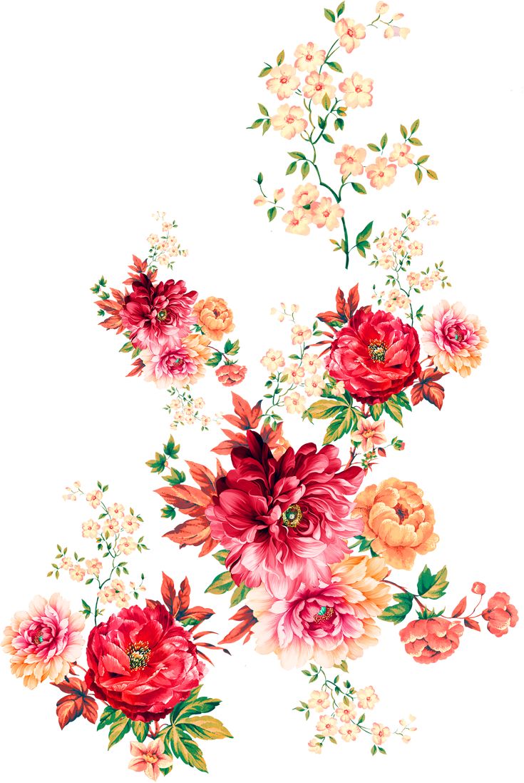 a painting of flowers on a white background