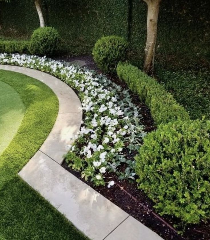 a garden with green grass and white flowers