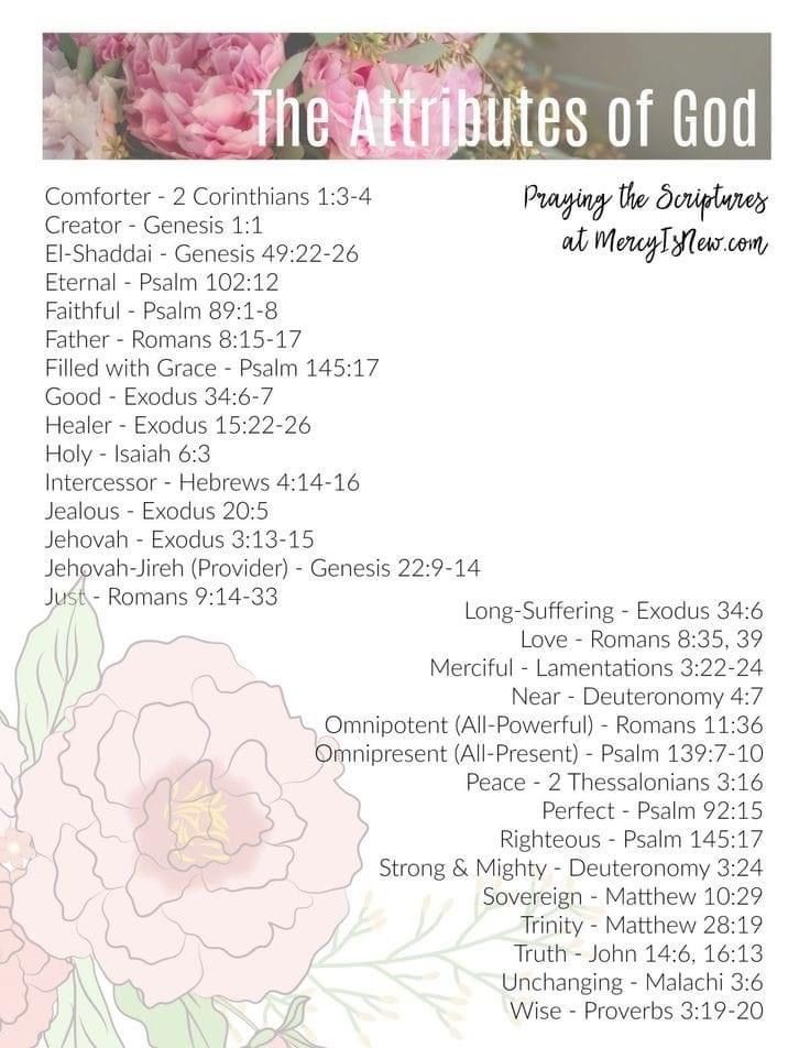 the attributes of god poster with pink flowers