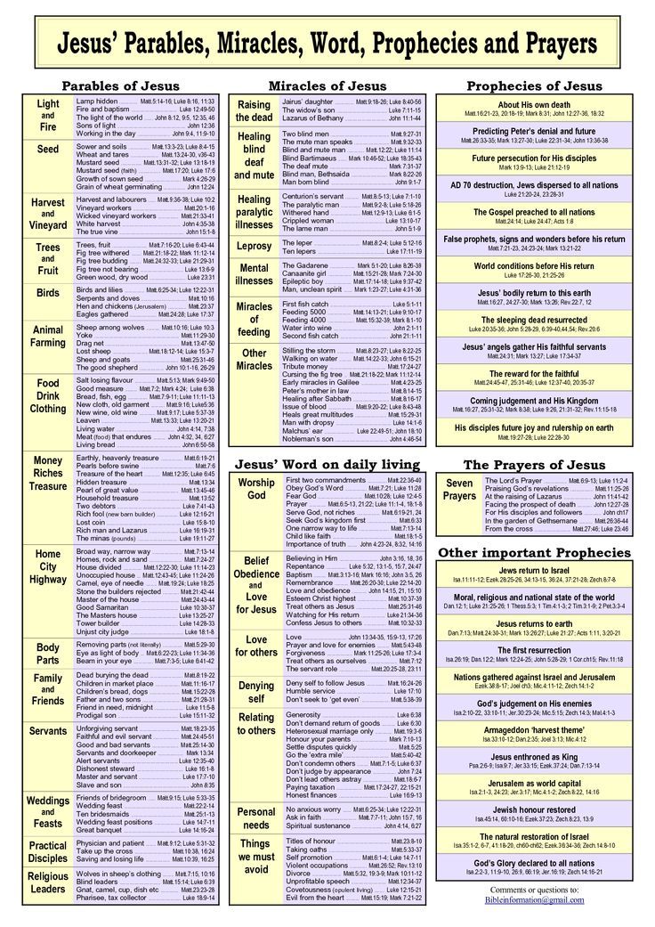 the book jesus parables, mimics, words, and phrases