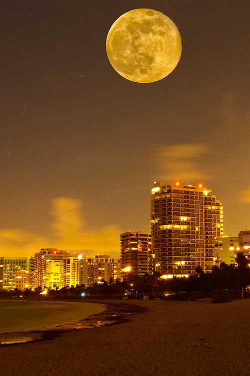 a full moon rises over the city skyline