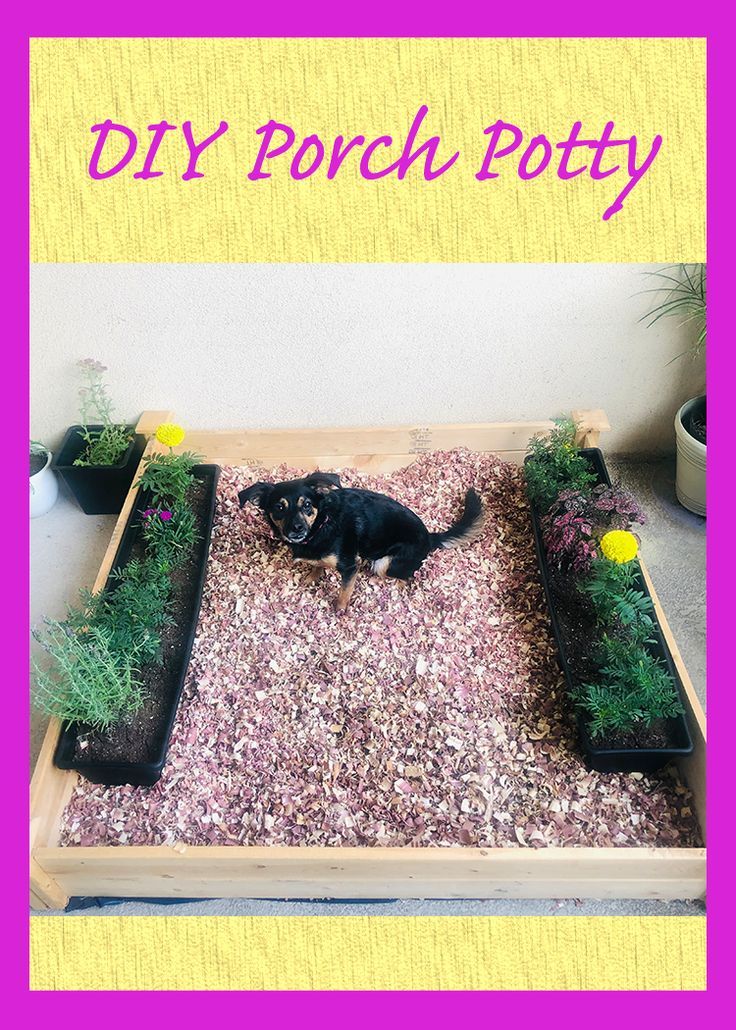 a black cat sitting on top of a wooden box filled with plants and gravel next to potted plants