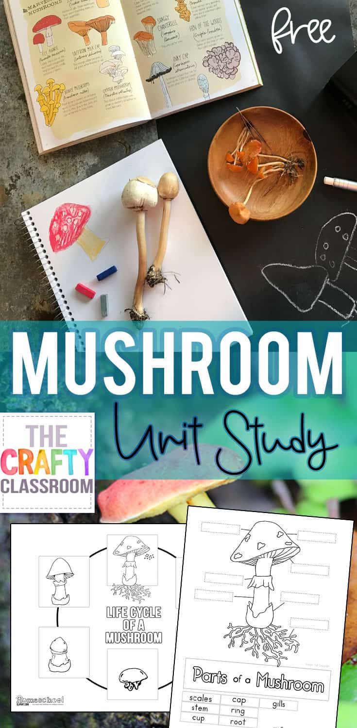 mushroom unit study with the text, mushrooms and other items in it on top of a table