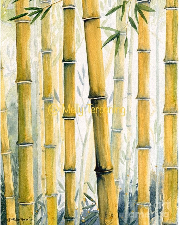 watercolor painting of bamboo trees with green leaves