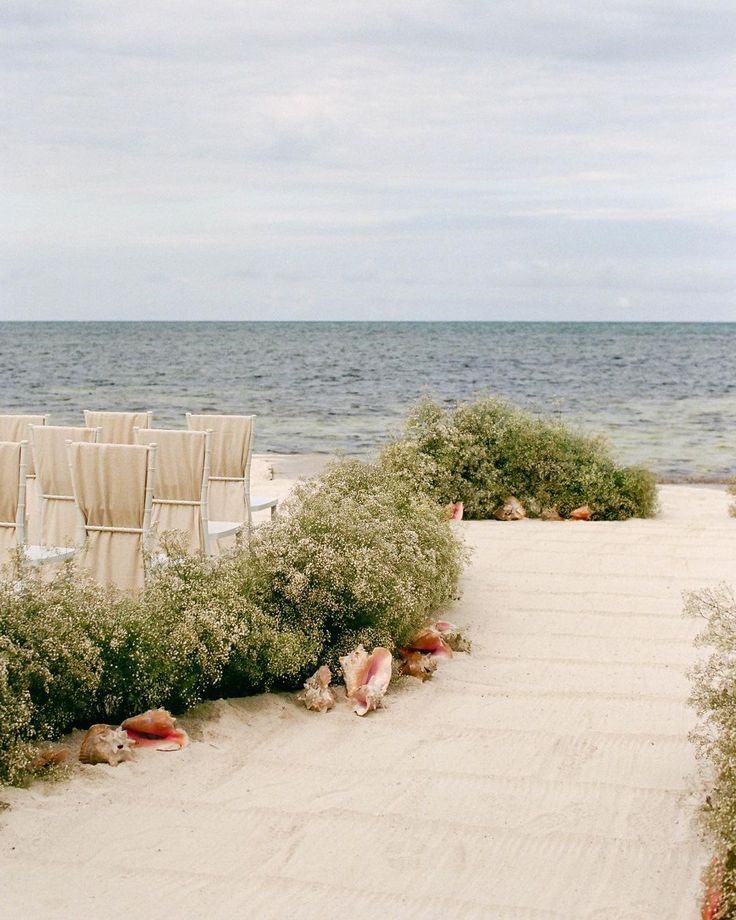 chairs are set up on the beach for an outdoor ceremony