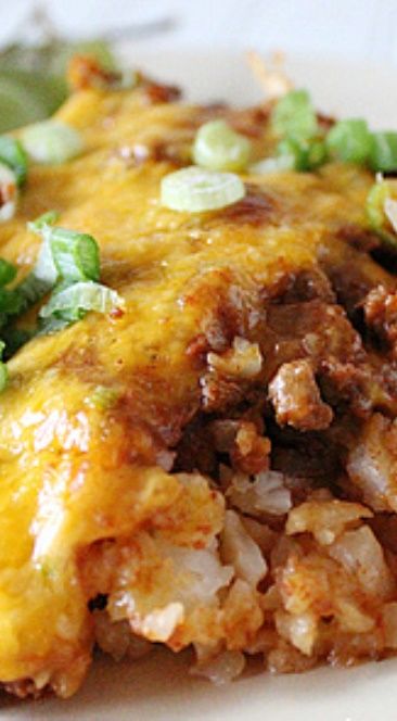 an enchilada on a plate with green onions and cilantro