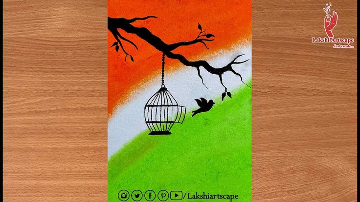 an orange and green book cover with a bird in a cage hanging from a tree branch