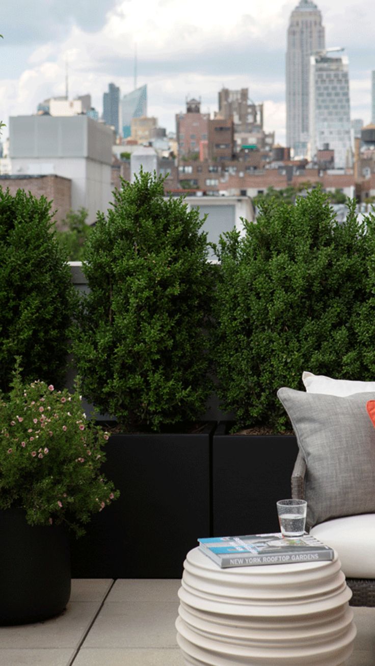 an outdoor seating area in front of a cityscape with tall buildings and trees