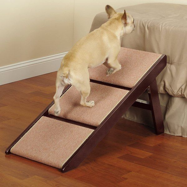 a small dog standing on top of a step ladder in the middle of a room