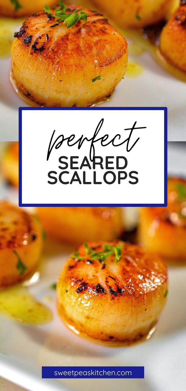 the perfect seared scallops on a white plate with text overlay that reads, perfect seared scallops