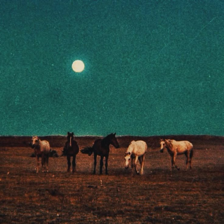 four horses standing in a field with the moon behind them