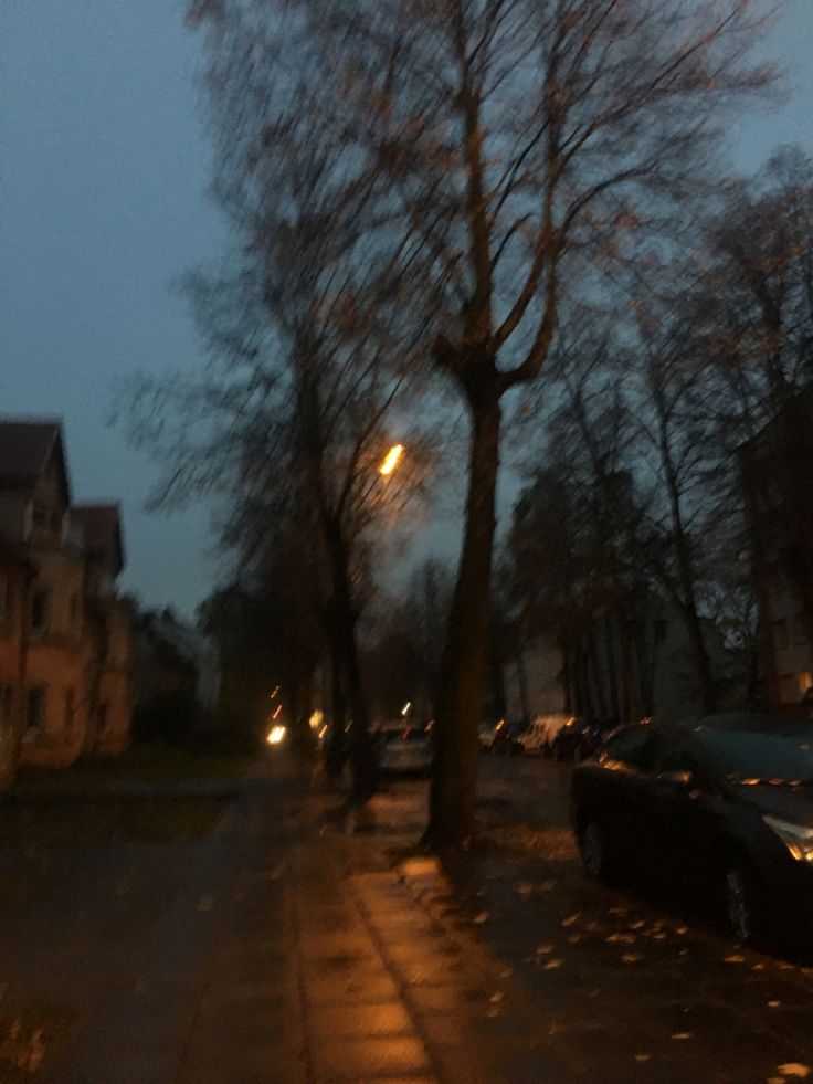 cars parked on the side of a street next to tall trees and buildings at night