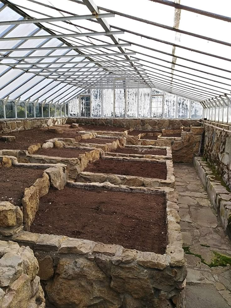 the inside of a greenhouse with many plants growing in it and dirt on the ground