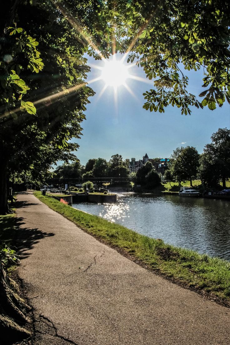 the sun shines brightly through the trees over a river and park area with benches