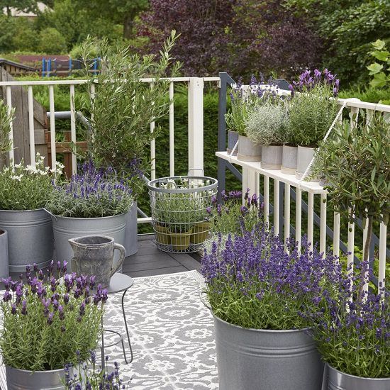 several metal pots filled with lavender plants on a deck