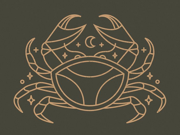 a brown crab with stars and crescents on it's back, against a black background