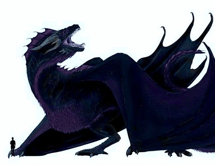 a black dragon with purple wings is standing in front of a white background and looking up at the viewer