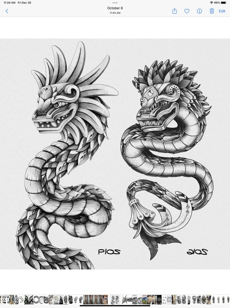 some kind of tattoo design that looks like a dragon