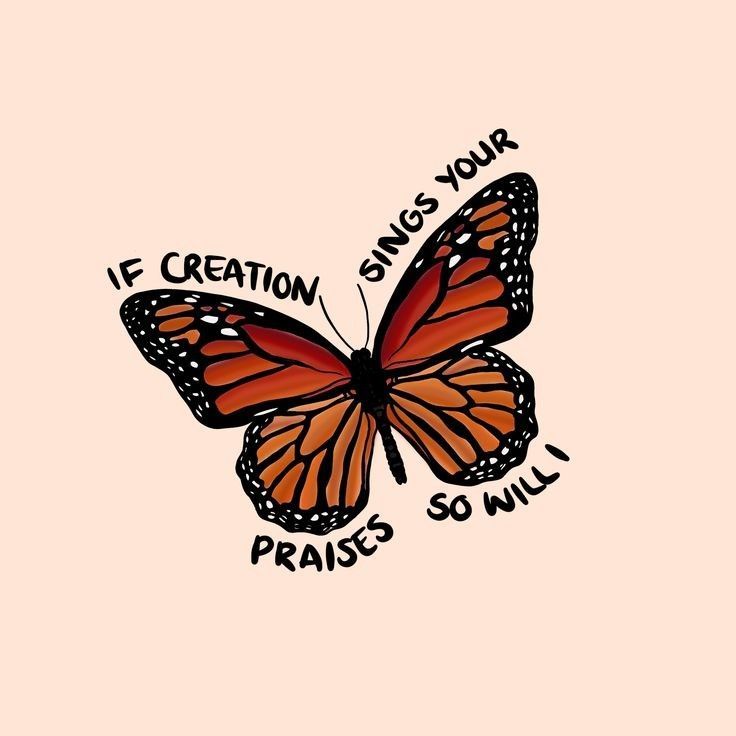 an orange butterfly with the words, if creation sings your praise so will on it