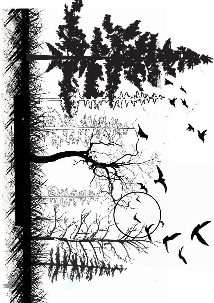 the silhouettes of trees and birds are shown in this black and white photo,