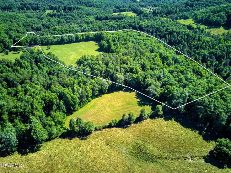 an aerial view of a wooded area with lots of trees and grass in the foreground