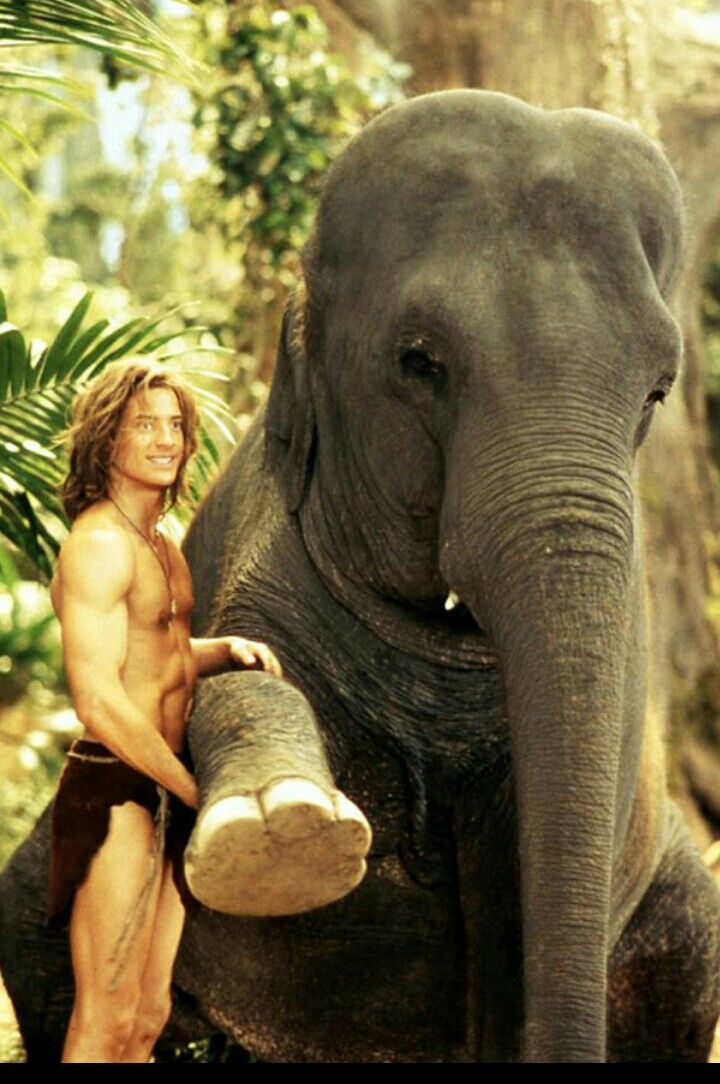 a man standing next to an elephant in the jungle