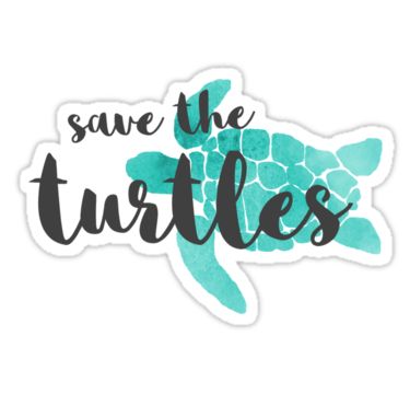 save the turtles sticker on a white background