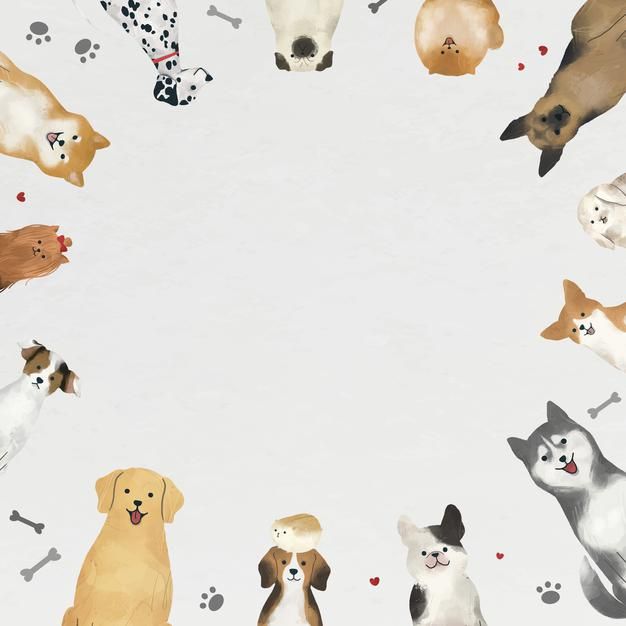 there are many dogs and cats in the circle