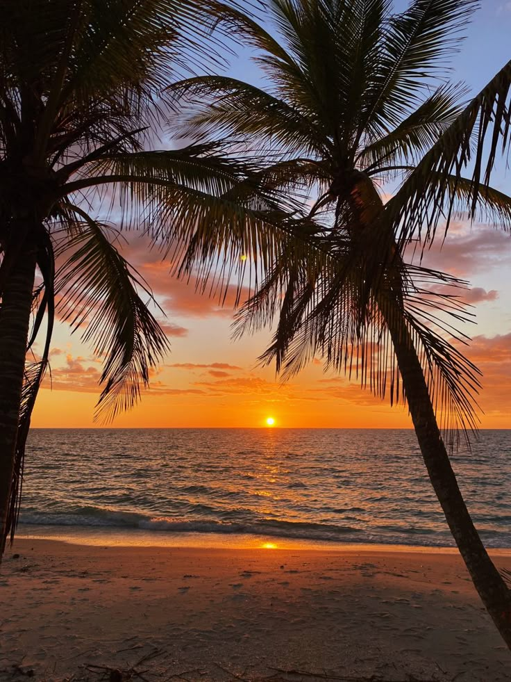 the sun is setting behind two palm trees on the beach in front of the ocean