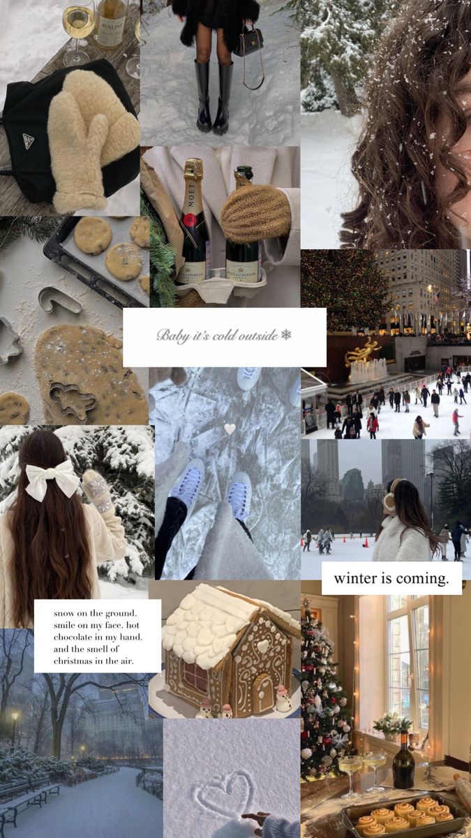 the collage shows many different things in winter