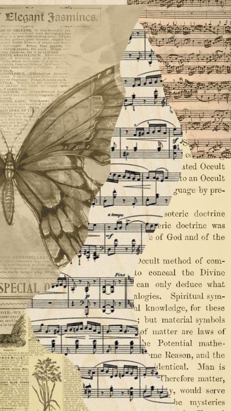 an altered collage of music and butterflies