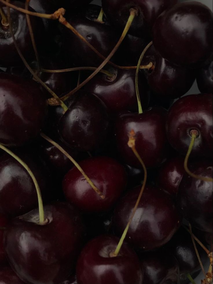 I m in love right now with photos by playing with exposure Dark Cherry Astethic, Black Cherry Wallpaper, Black Cherry Aesthetic, Cherry Widget, Cherry Astethic, Cherry Vibes, Darkest Academia, Aesthetic Fruit, Sakura Season