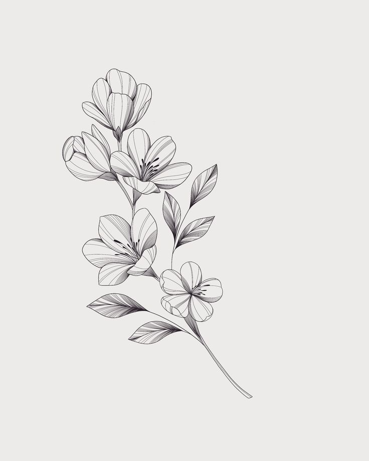 some flowers that are in the middle of black and white ink on a light gray background