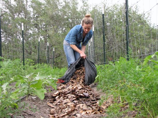 a woman is picking up leaves from the ground with a bag in her hand and another person standing next to her