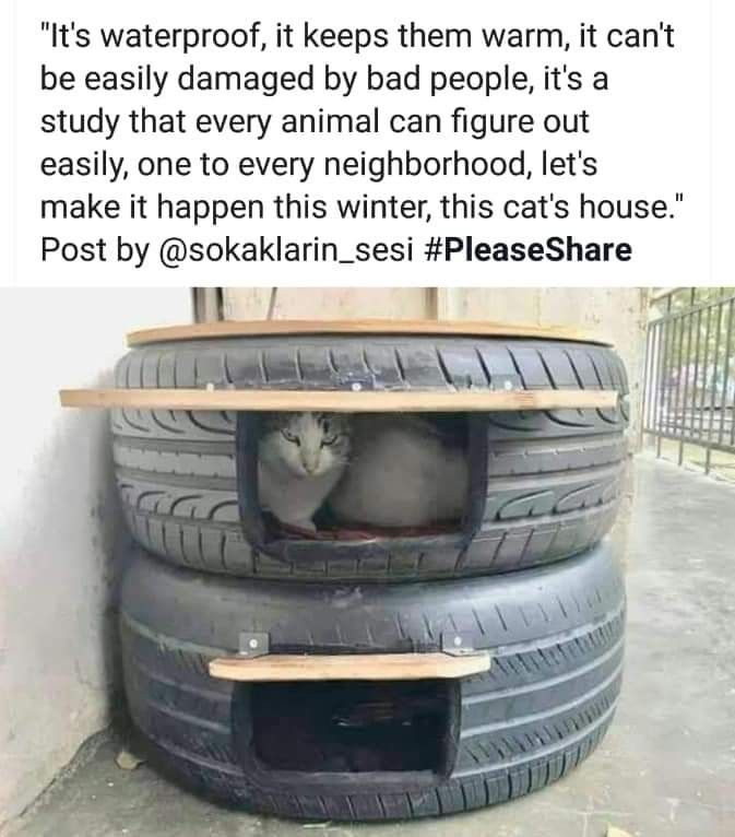 a car tire with a cat sleeping in it's bed on the bottom shelf