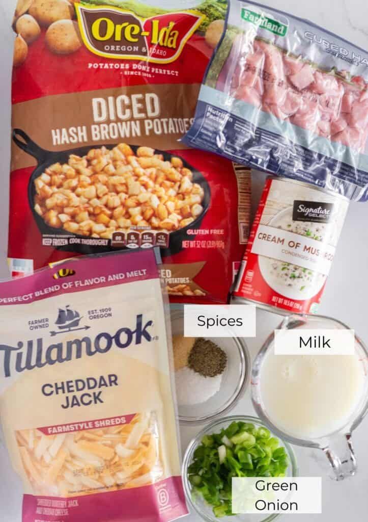 ingredients to make chicken macaroni and cheese soup laid out on a white surface