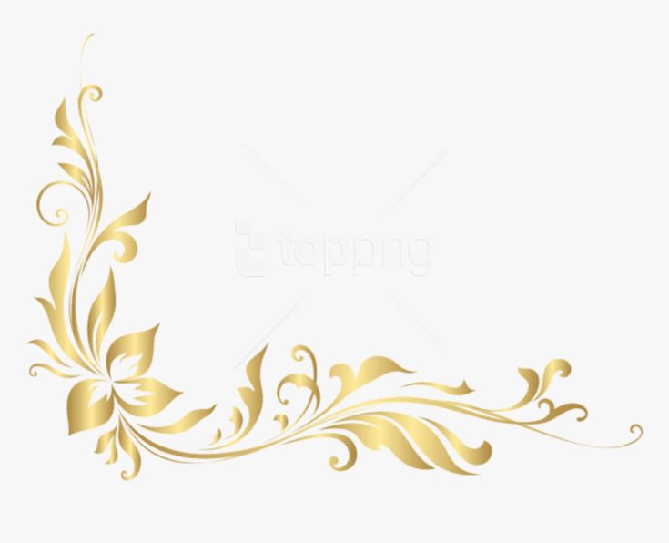 an elegant gold frame with leaves on white background